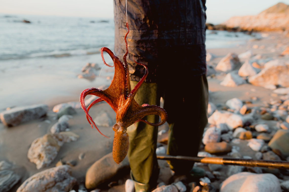 An Octopus fished from the sea. Photo by Max Ablicki.