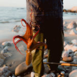 An Octopus fished from the sea. Photo by Max Ablicki.